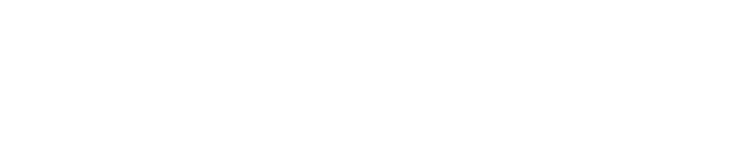 checkpoint-logo-white-2